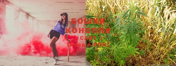 тгк Снежногорск